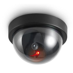 Caméra factice dôme EMATRONIC - EM11D