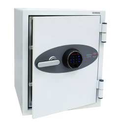 Coffre fort ignifuge supports informatiques - Serrure électronique et biométrique - PHOENIX DATACARE DS2003F